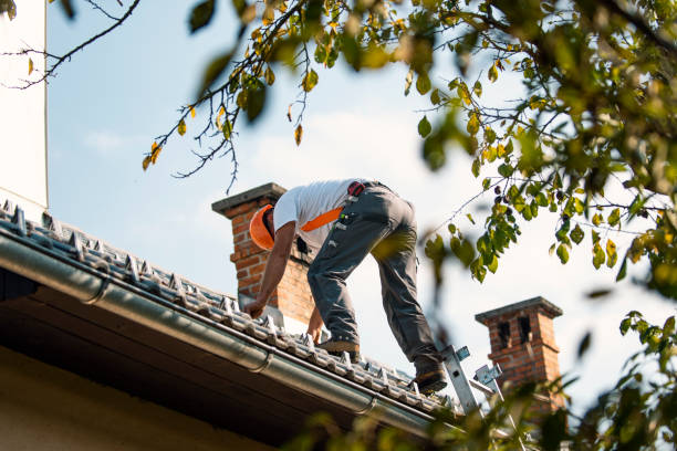 Best Storm Damage Roof Repair  in Palmdale, CA